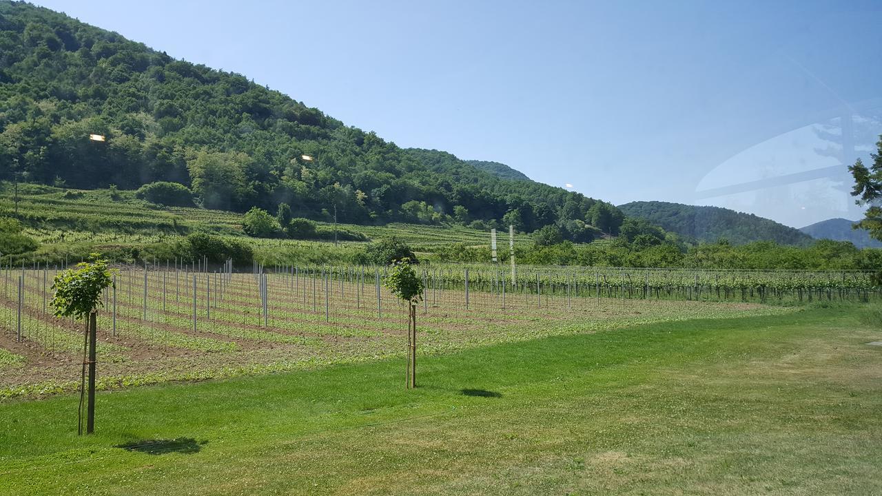Gasthof Zur Wachau Hofarnsdorf Екстер'єр фото